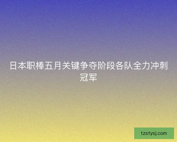 日本职棒五月关键争夺阶段各队全力冲刺冠军